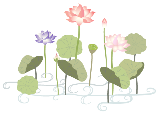 lotus